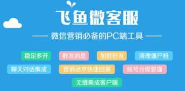 飛魚微客服v1.09 免費(fèi)微信營(yíng)銷軟件的功能與下載指南